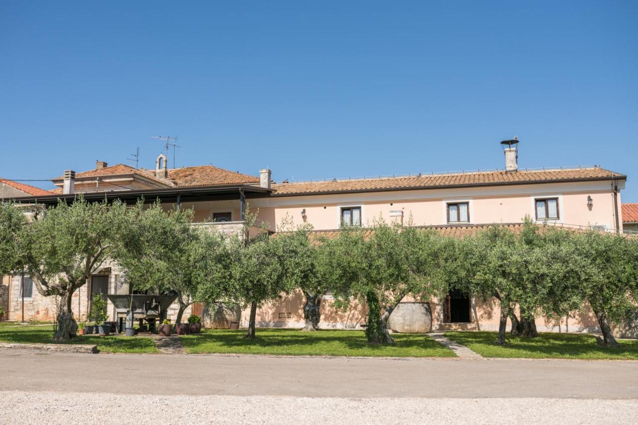 Bb Olive Bed and Breakfast Seget  Buitenkant foto