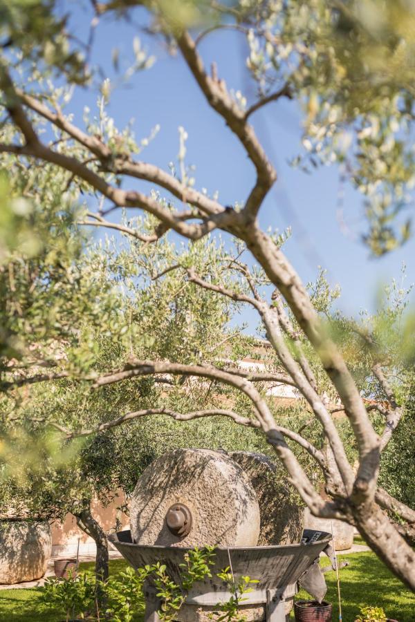 Bb Olive Bed and Breakfast Seget  Buitenkant foto