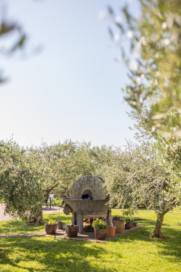 Bb Olive Bed and Breakfast Seget  Buitenkant foto